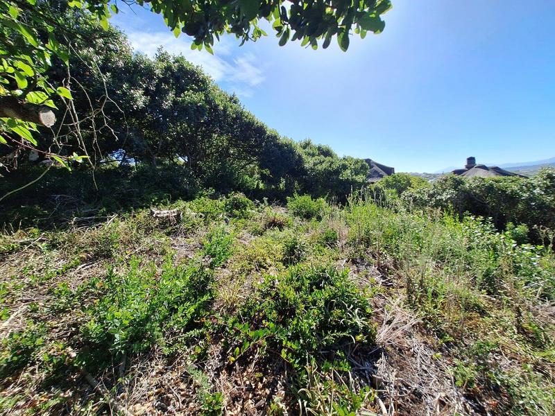 0 Bedroom Property for Sale in Bergsig Western Cape